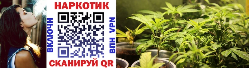 Купить наркоту Терек АМФ Каннабис Кокаин Лсд 25 ГАШ Мефедрон