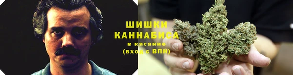 2c-b Армянск