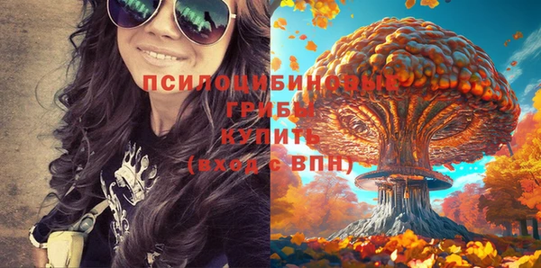 не бодяженный Арсеньев