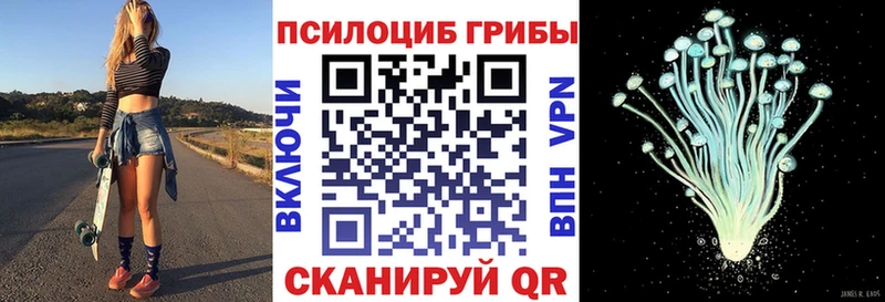 Псилоцибиновые грибы мухоморы  мега как войти  Терек 